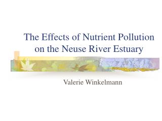 The Effects of Nutrient Pollution on the Neuse River Estuary
