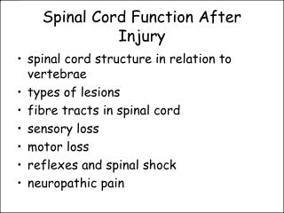 Spinal Cord Function After Injury