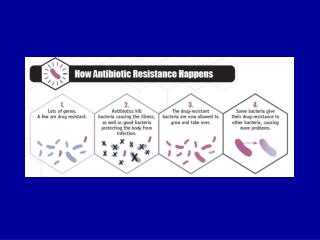 Antibiotici come causa di variazione della popolazione batterica comune