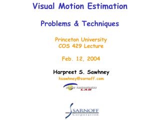 Visual Motion Estimation Problems &amp; Techniques