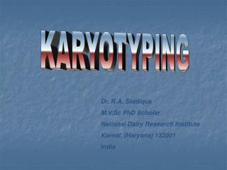 KARYOTYPING