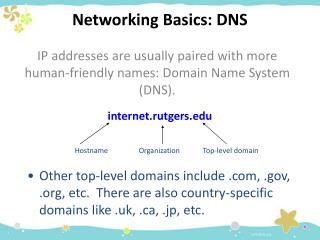 Networking Basics: DNS