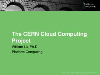 The CERN Cloud Computing Project