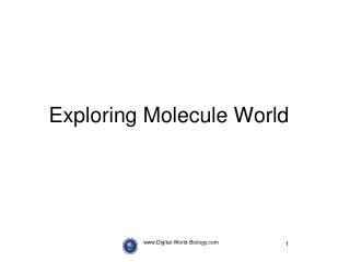 Exploring Molecule World