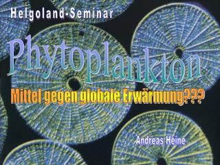 Helgoland-Seminar