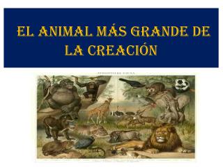 EL ANIMAL MÁS GRANDE DE LA CREACIÓN