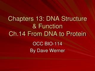 Chapters 13: DNA Structure &amp; Function Ch.14 From DNA to Protein