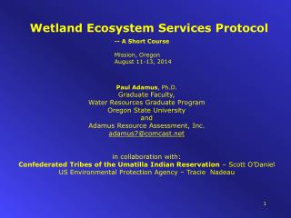 Wetland Ecosystem Services Protocol
