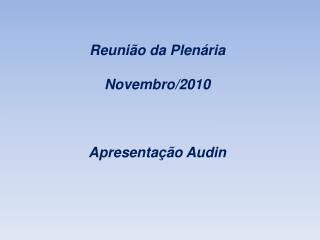 Reunião da Plenária Novembro/2010 Apresentação Audin