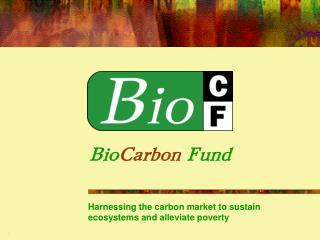 Bio Carbon Fund