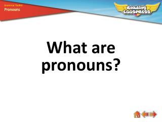 What are p ronouns?