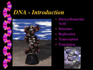 DNA - Introduction