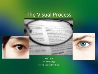 The Visual Process
