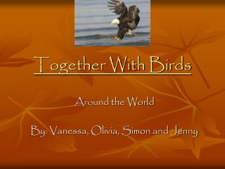 Together With Birds