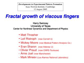 Fractal growth of viscous fingers