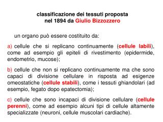 classificazione dei tessuti proposta nel 1894 da Giulio Bizzozzero