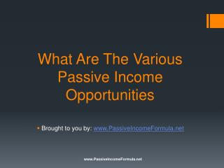What Are The Various Passive Income Opportunities?