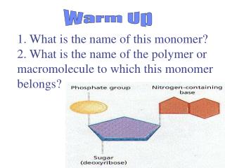 1. What is the name of this monomer?