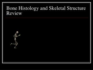 Bone Histology and Skeletal Structure Review