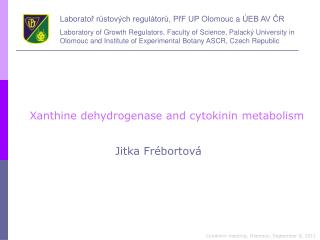 Xanthine dehydrogenase and cytokinin metabolism