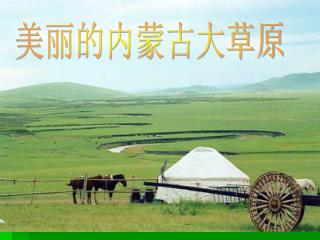 美丽的内蒙古大草原