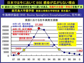 日本では牛において BSE 感染が広がらない理由 鹿児島大学農学部　 獣医公衆衛生学研究室　岡本嘉六