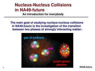 Nucleus-Nucleus Collisions in NA49-future