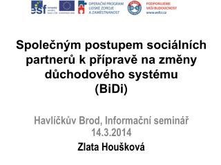 Společným postupem sociálních partnerů k přípravě na změny důchodového systému ( BiDi )