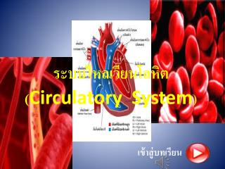 ระบบไหลเวียนโลหิต( Circulatory System )