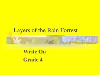 Layers of the Rain Forrest
