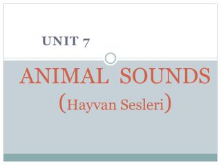 ANIMAL SOUNDS ( Hayvan Sesleri )