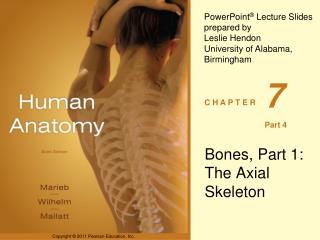 Bones, Part 1: The Axial Skeleton