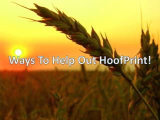 Ways To Help Out HoofPrint !