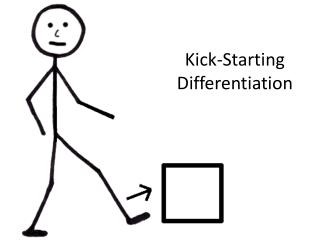 Kick-Starting Differentiation