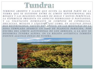 Tundra: