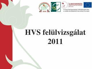 HVS felülvizsgálat 2011