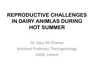 REPRODUCTIVE CHALLENGES IN DAIRY ANIMLAS DURING HOT SUMMER