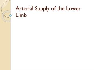 Arterial Supply of the Lower Limb