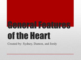 General Features of the Heart