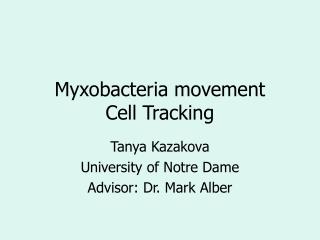Myxobacteria movement Cell Tracking