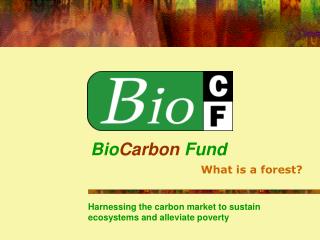 Bio Carbon Fund