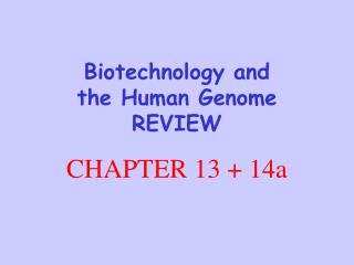 Biotechnology and the Human Genome REVIEW