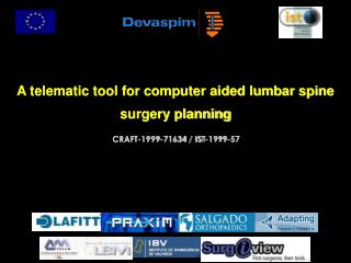 A telematic tool for computer aided lumbar spine surgery planning