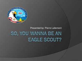 So, you wanna be an eagle Scout?
