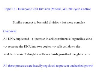 Topic 16 - Eukaryotic Cell Division (Mitosis) &amp; Cell Cycle Control