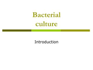 Bacterial culture