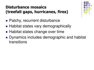 Disturbance mosaics (treefall gaps, hurricanes, fires)