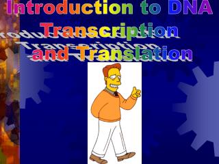 Introduction to DNA Transcription and Translation