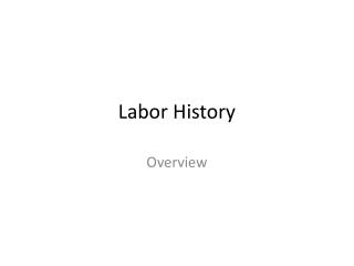 Labor History