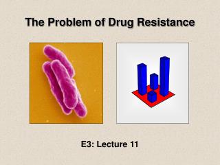 The Problem of Drug Resistance